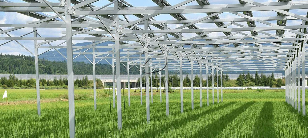 Agricultural solar system